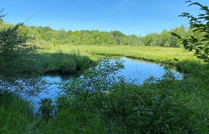 1175 West Dowling Road Dowling, MI 49050 - Photo 2 of 2 Picture2