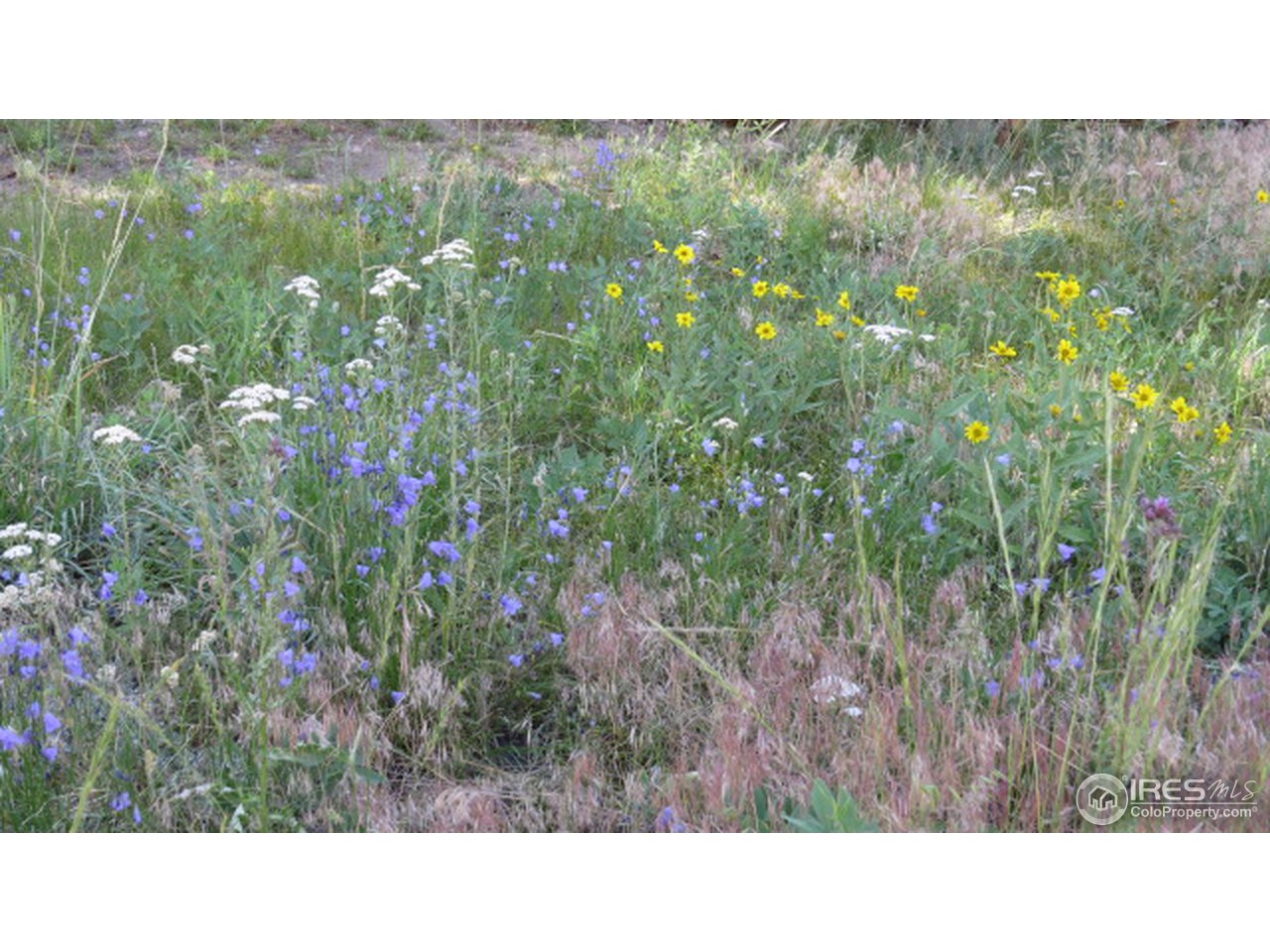 256 George Stadler Road Bellvue, CO 80512 - Photo 27 of 34 Gallery Image 27