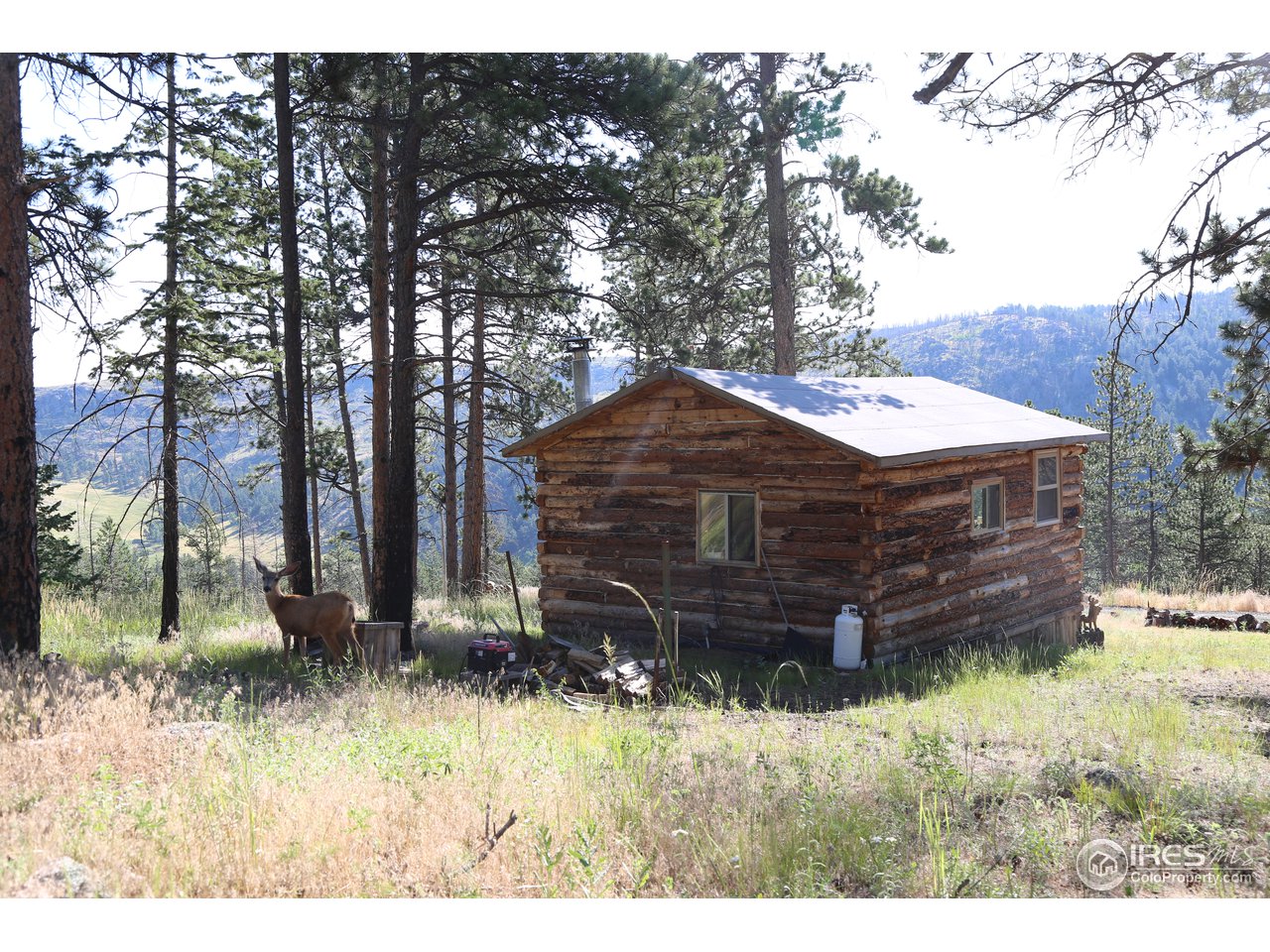 256 George Stadler Road Bellvue, CO 80512 - Photo 33 of 34 Gallery Image 33