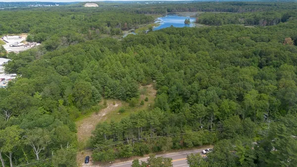 a view of a lush green forest with lots of trees