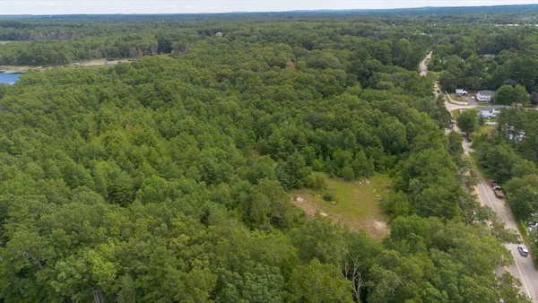 a view of a forest with a street