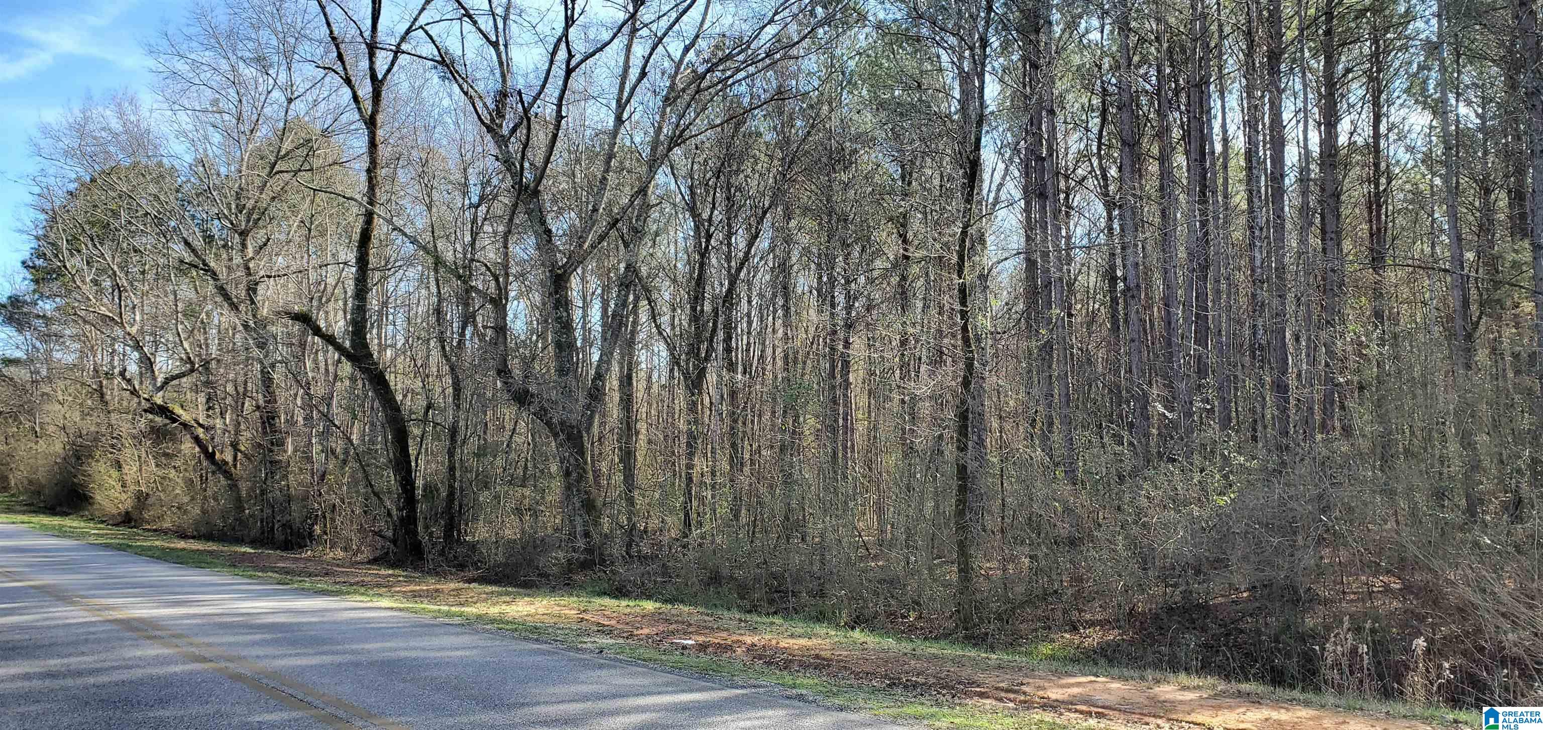0 County Road 20 Calera, AL 35040 - Photo 2 of 3