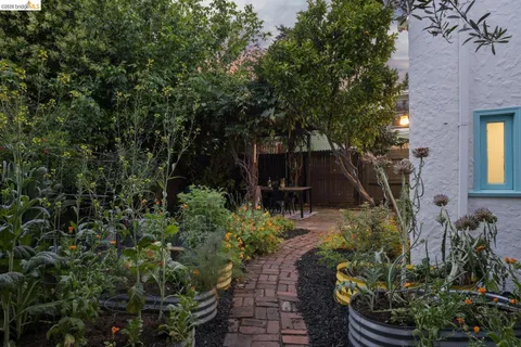 a view of a garden with plants and large trees