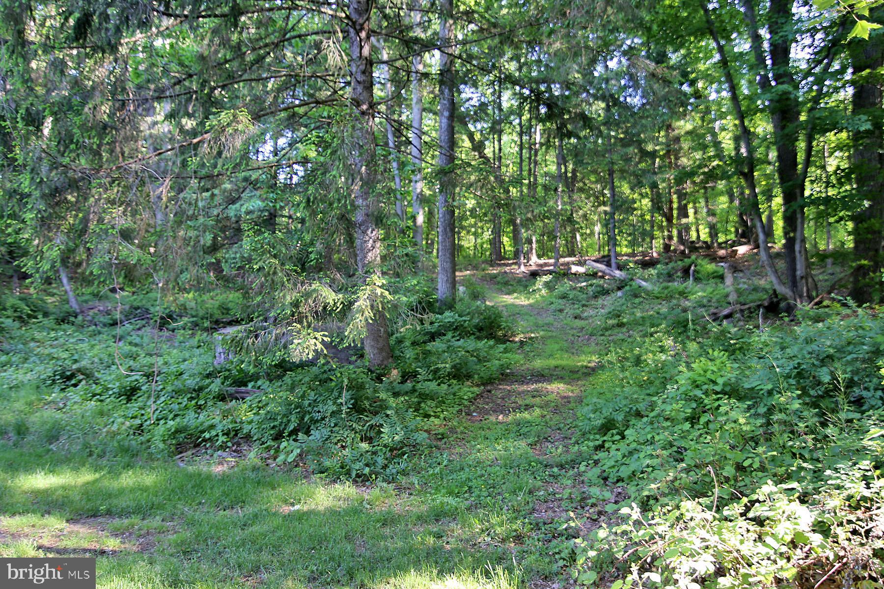 1061 Mine Road Lebanon, PA 17042 - Photo 5 of 88 Back of beautiful 1.3 acre property