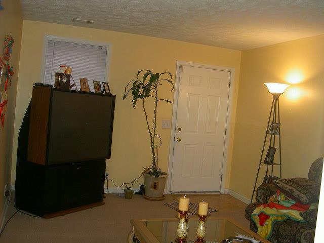 2967 Anderson Road Nashville, TN 37217 - Photo 4 of 10 Living Room