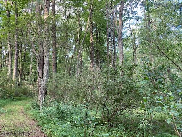 456 Lodge Road Crystal Spring, PA 15536 - Photo 14 of 58 Gallery Image 14