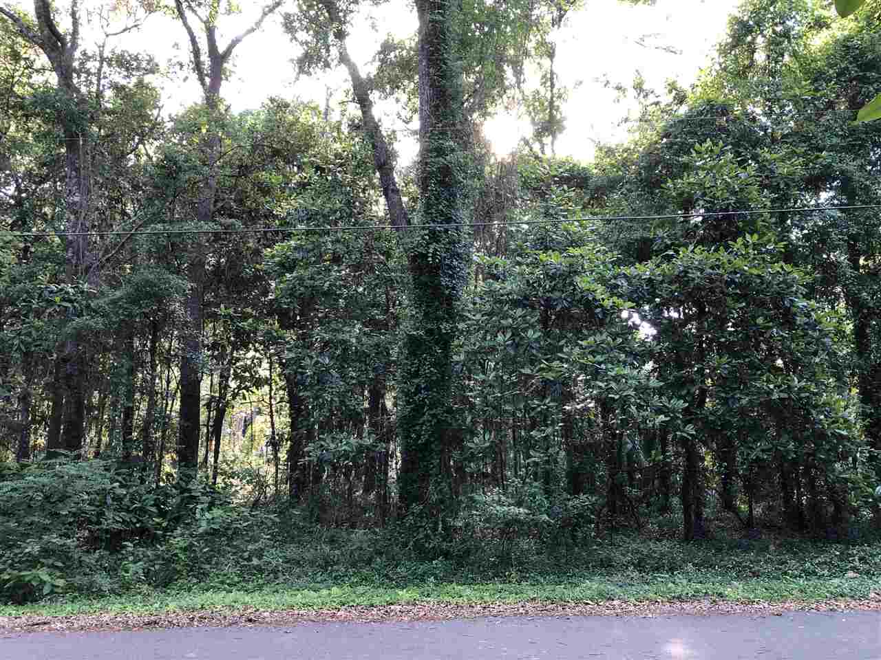 0 Bay Street Magnolia Springs, AL 36555 - Photo 2 of 8