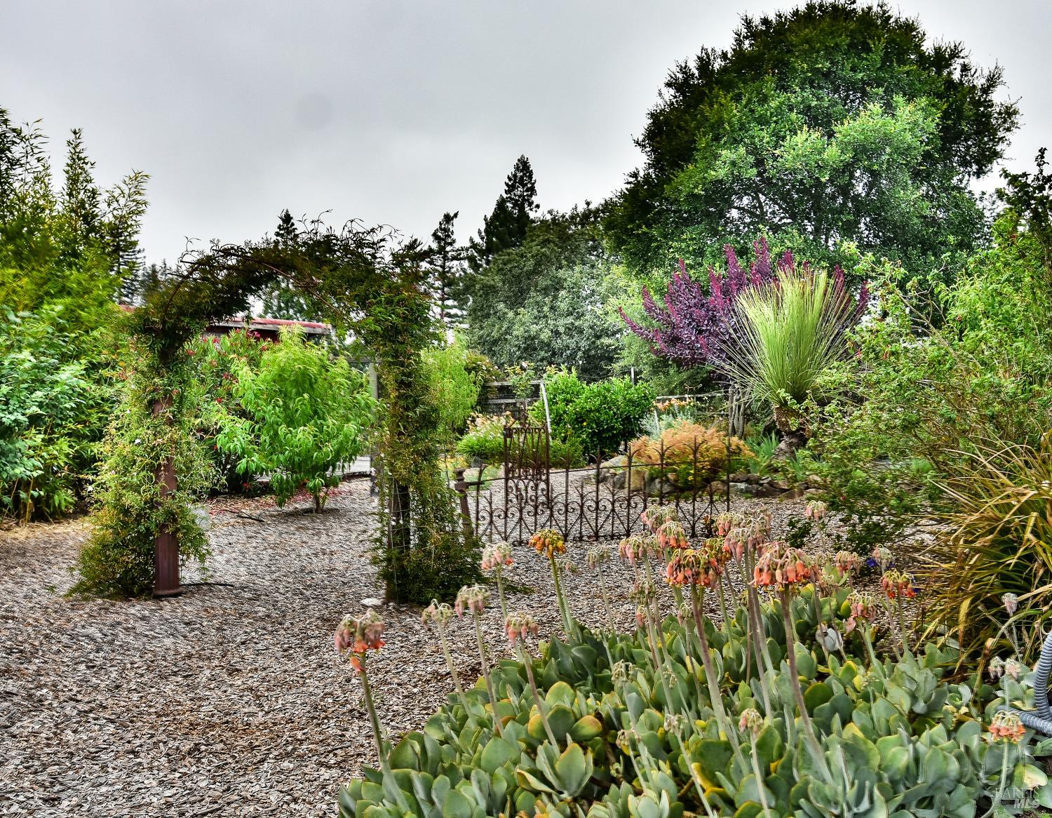 704 Bloomfield Road Sebastopol, CA 95472 - Photo 45 of 47