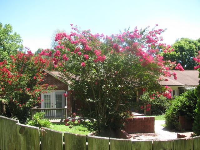 4537 Blue Ridge Boulevard Blue Ridge, VA 24064 - Photo 19 of 22 IMG_9738_resize
