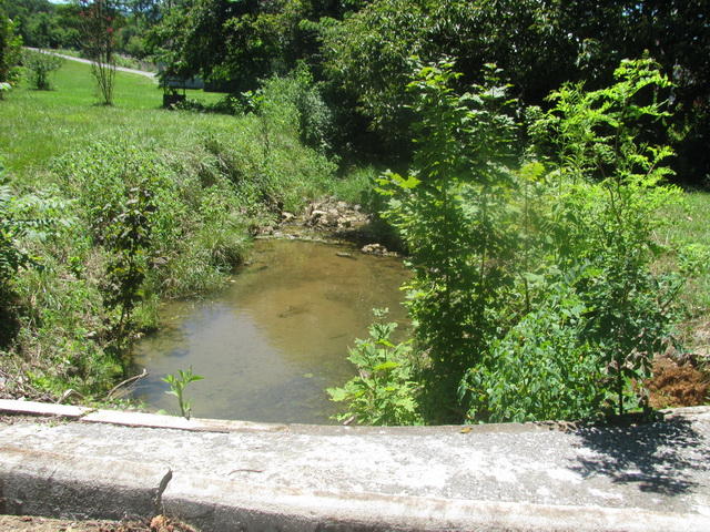 4537 Blue Ridge Boulevard Blue Ridge, VA 24064 - Photo 21 of 22 IMG_9773_resize