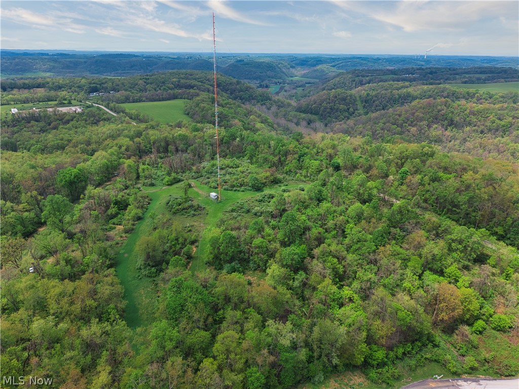 0 Bealls Ridge Wellsburg, WV 26070 - Photo 44 of 46