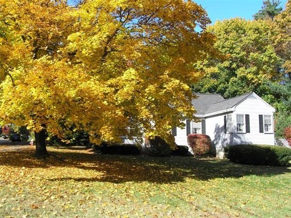 9 Hammond Road Hopedale, MA 01747 - Photo 3 of 15 Gallery Image 3