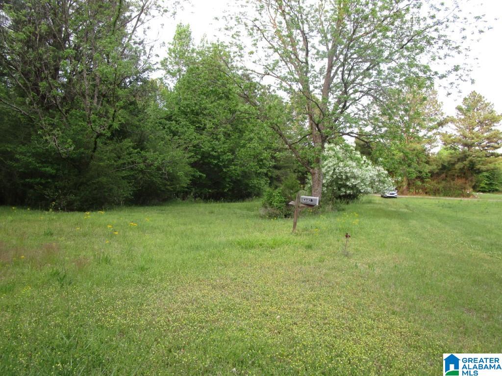 4956 Kings Mill Road Oakman, AL 35579 - Photo 2 of 27