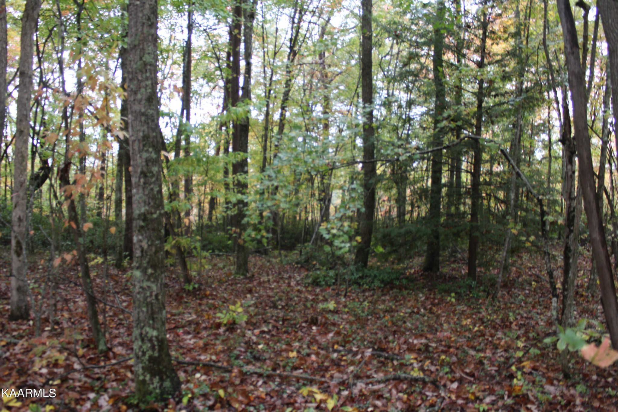 25 Copley Cemetery Road Jamestown, TN 38556 - Photo 13 of 52 Gallery Image 13