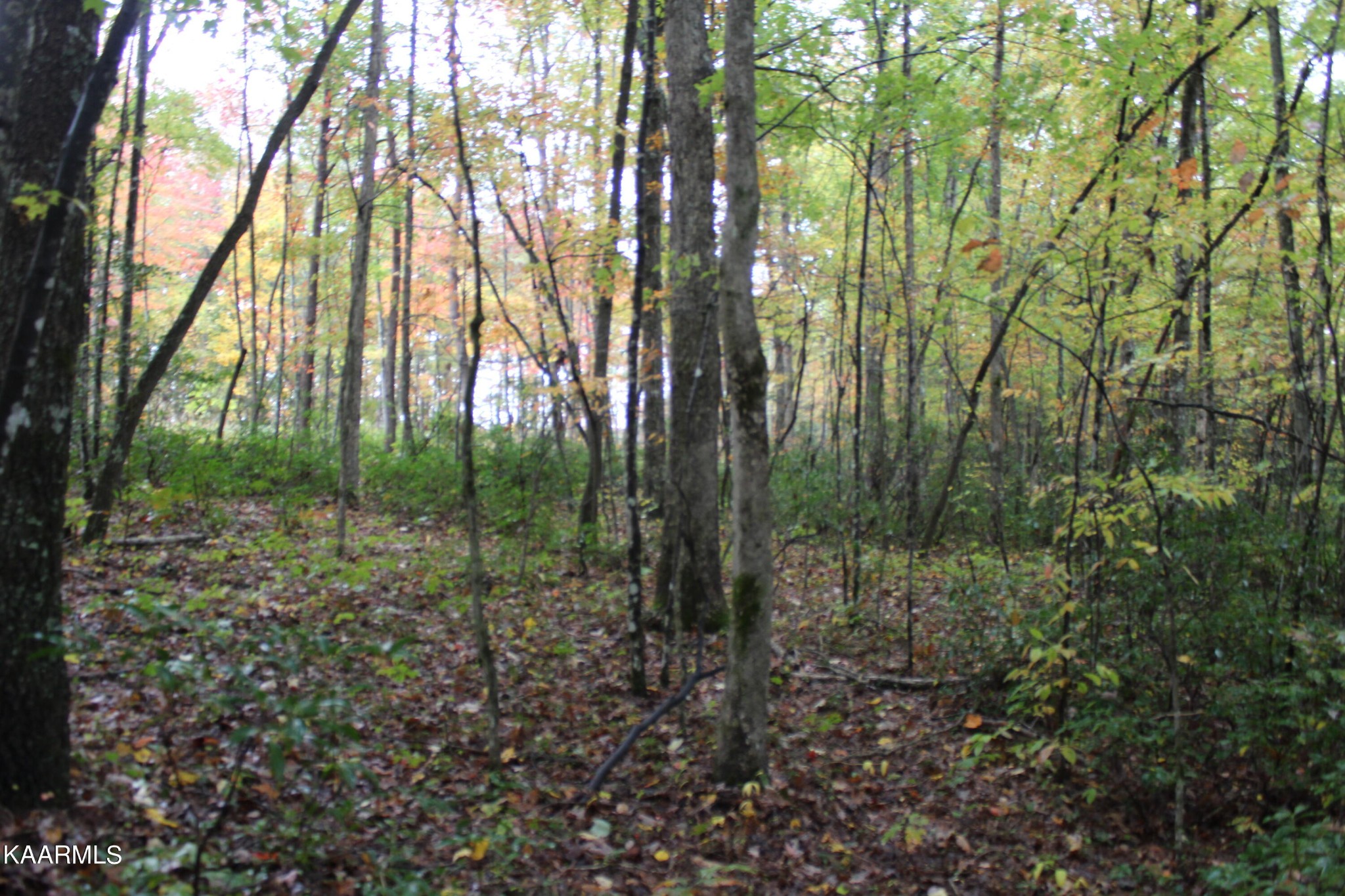 25 Copley Cemetery Road Jamestown, TN 38556 - Photo 20 of 52 Gallery Image 20