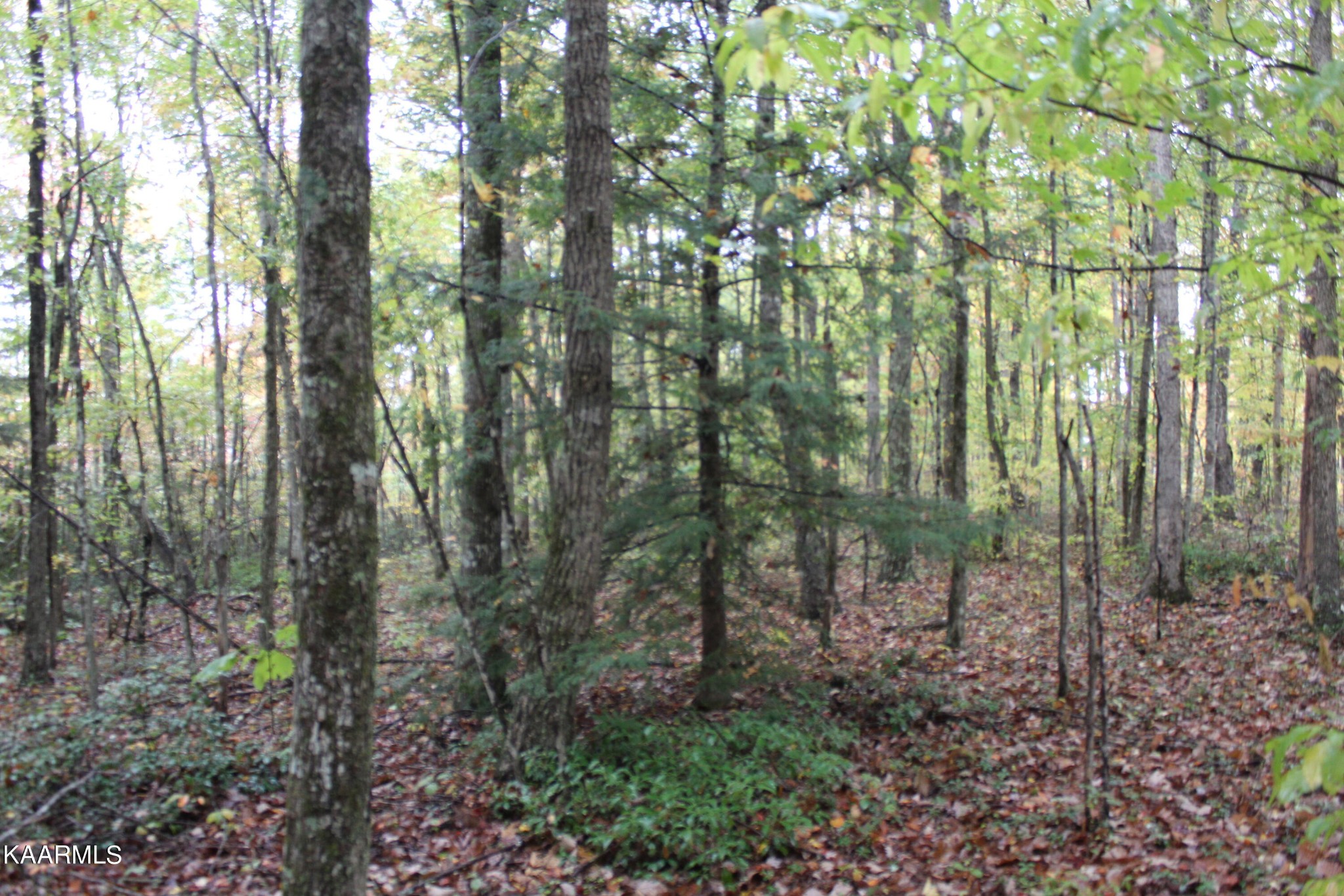 25 Copley Cemetery Road Jamestown, TN 38556 - Photo 22 of 52 Gallery Image 22