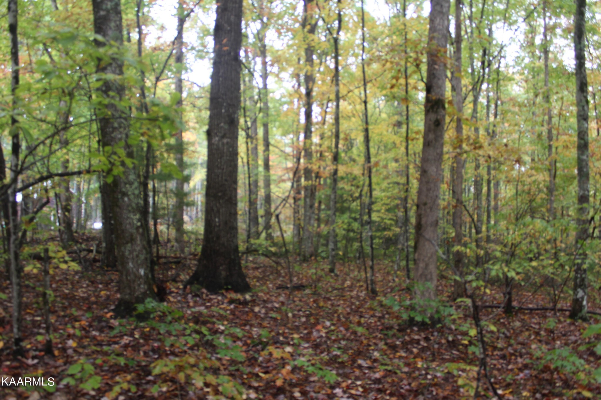 25 Copley Cemetery Road Jamestown, TN 38556 - Photo 34 of 52 Gallery Image 34