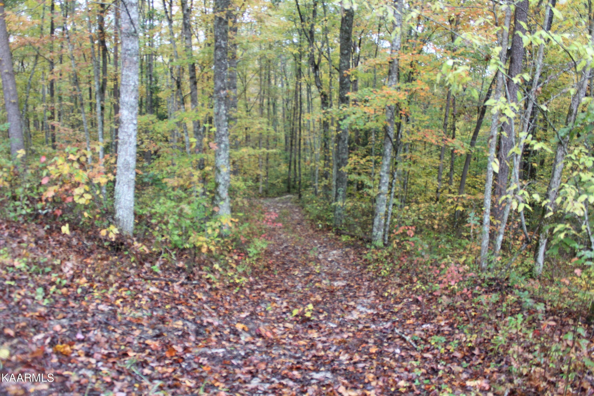 25 Copley Cemetery Road Jamestown, TN 38556 - Photo 40 of 52 Gallery Image 40