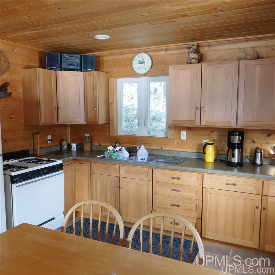 Tbd Lantz Road Ralph, MI 49877 - Photo 18 of 47