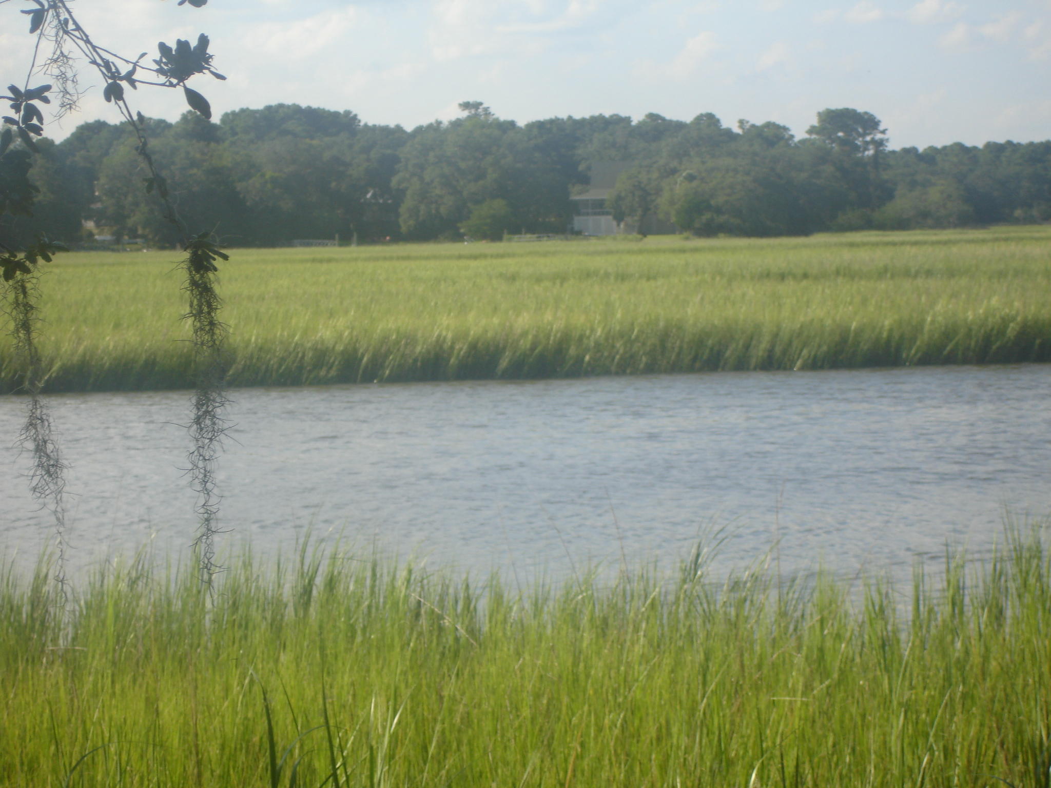 Palmetto Rd deep water (19)
