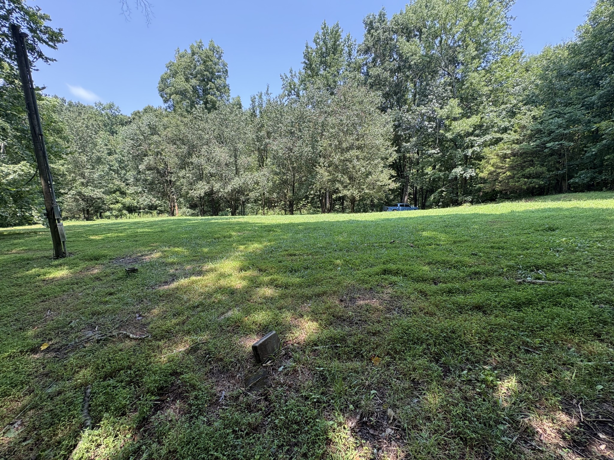1991 Simmons Ridge Road Cornersville, TN 37047 - Photo 6 of 8 Gallery Image 6