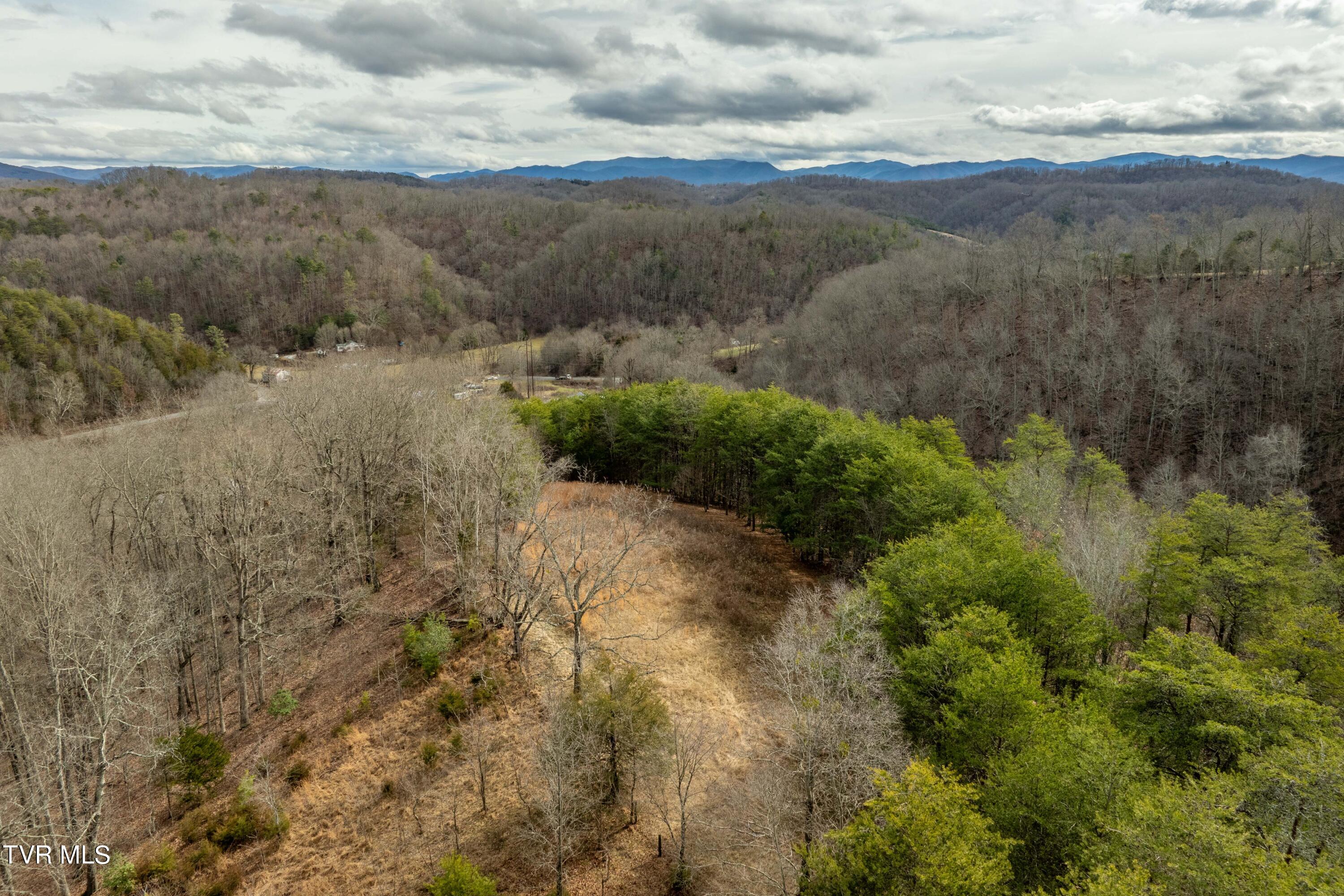 Tbd Lick Creek Road Watauga, TN 37694 - Photo 13 of 38 Lick Creek Rd (13 of 38)