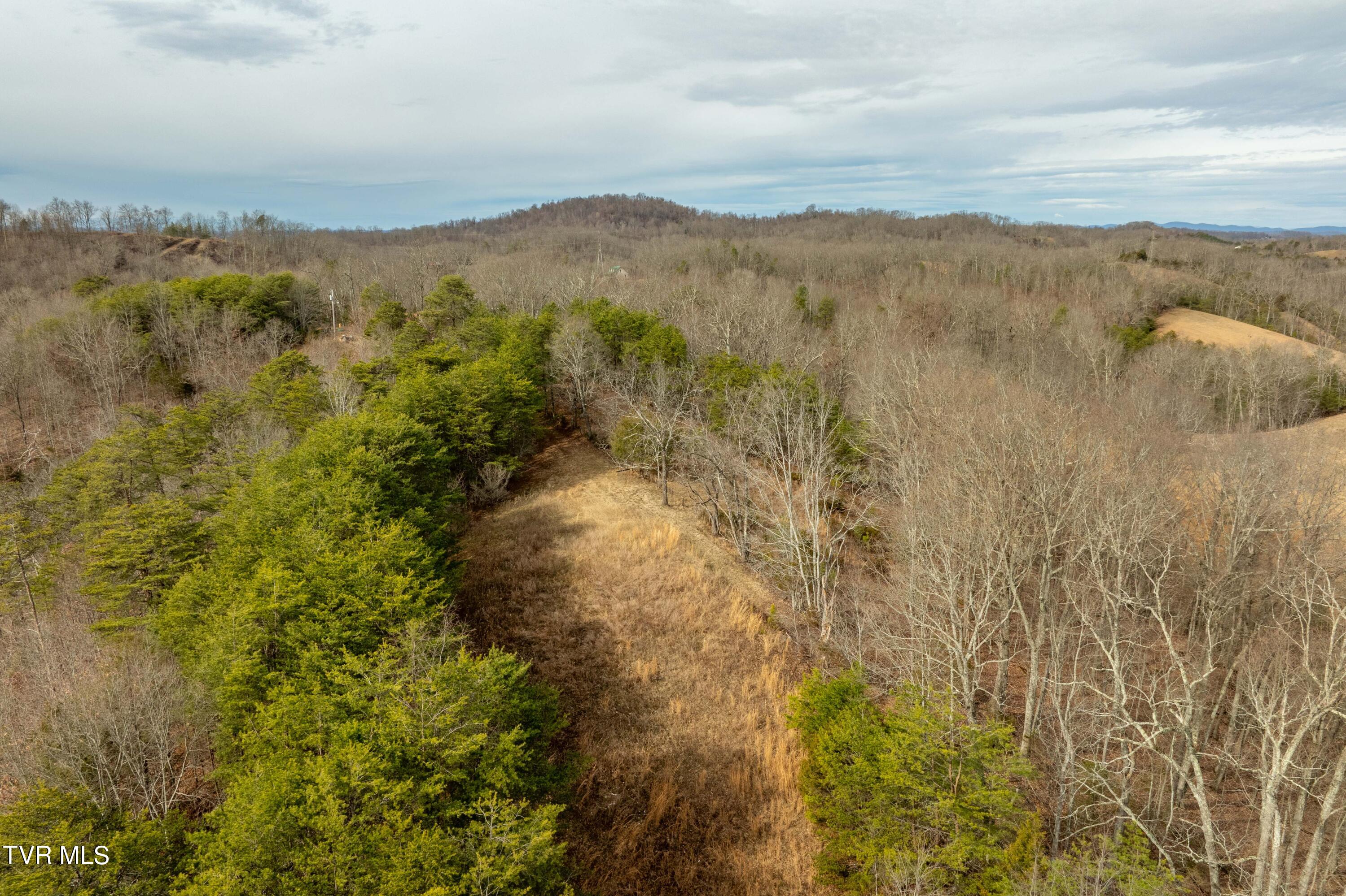 Tbd Lick Creek Road Watauga, TN 37694 - Photo 15 of 38 Lick Creek Rd (15 of 38)