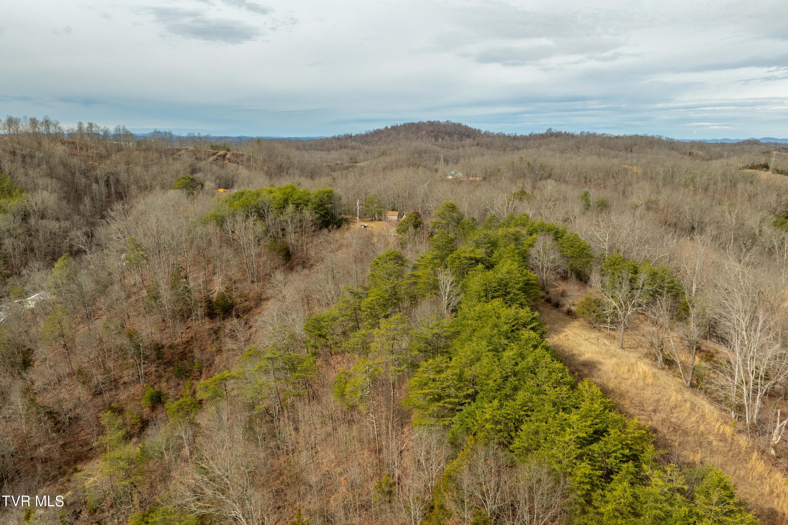 Tbd Lick Creek Road Watauga, TN 37694 - Photo 18 of 38 Lick Creek Rd (18 of 38)
