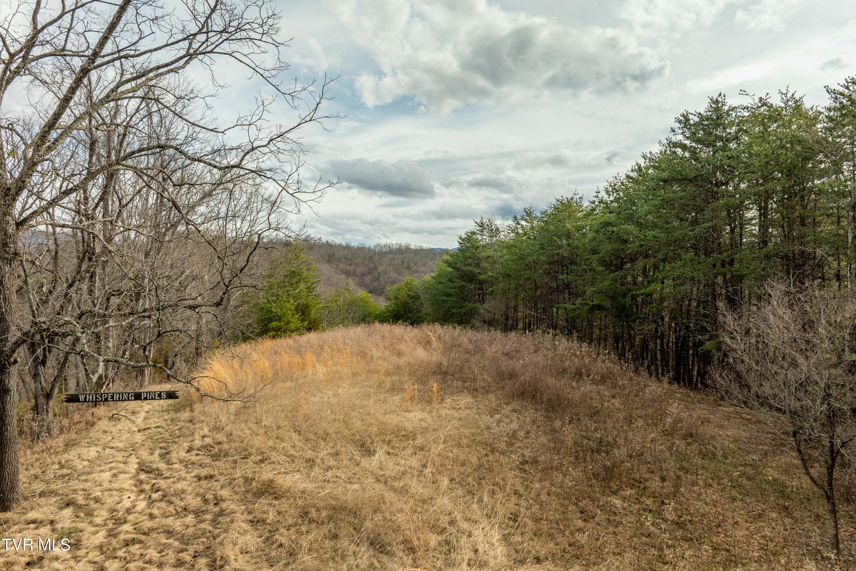 Tbd Lick Creek Road Watauga, TN 37694 - Photo 21 of 38 Lick Creek Rd (21 of 38)