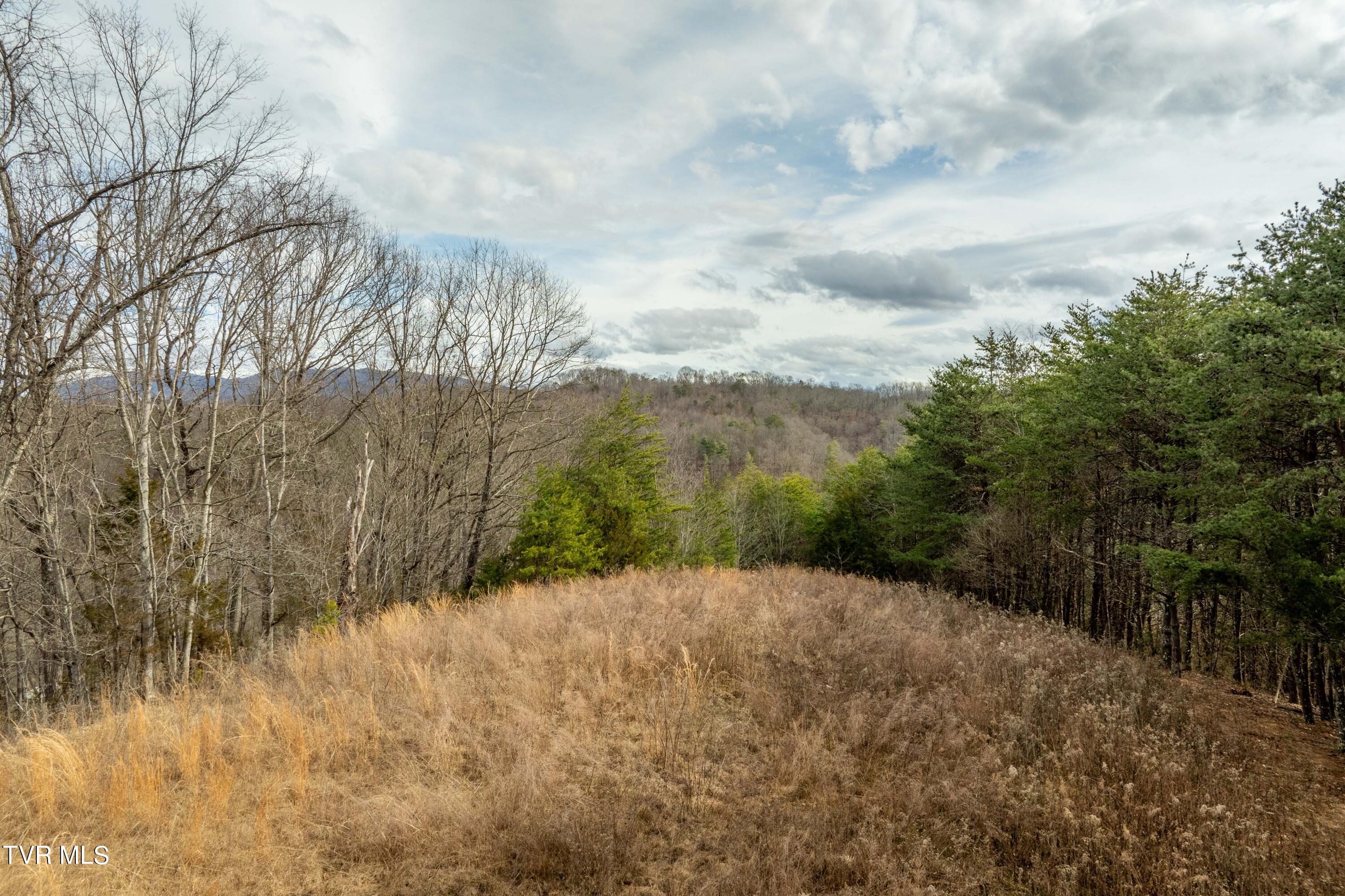 Tbd Lick Creek Road Watauga, TN 37694 - Photo 22 of 38 Lick Creek Rd (22 of 38)