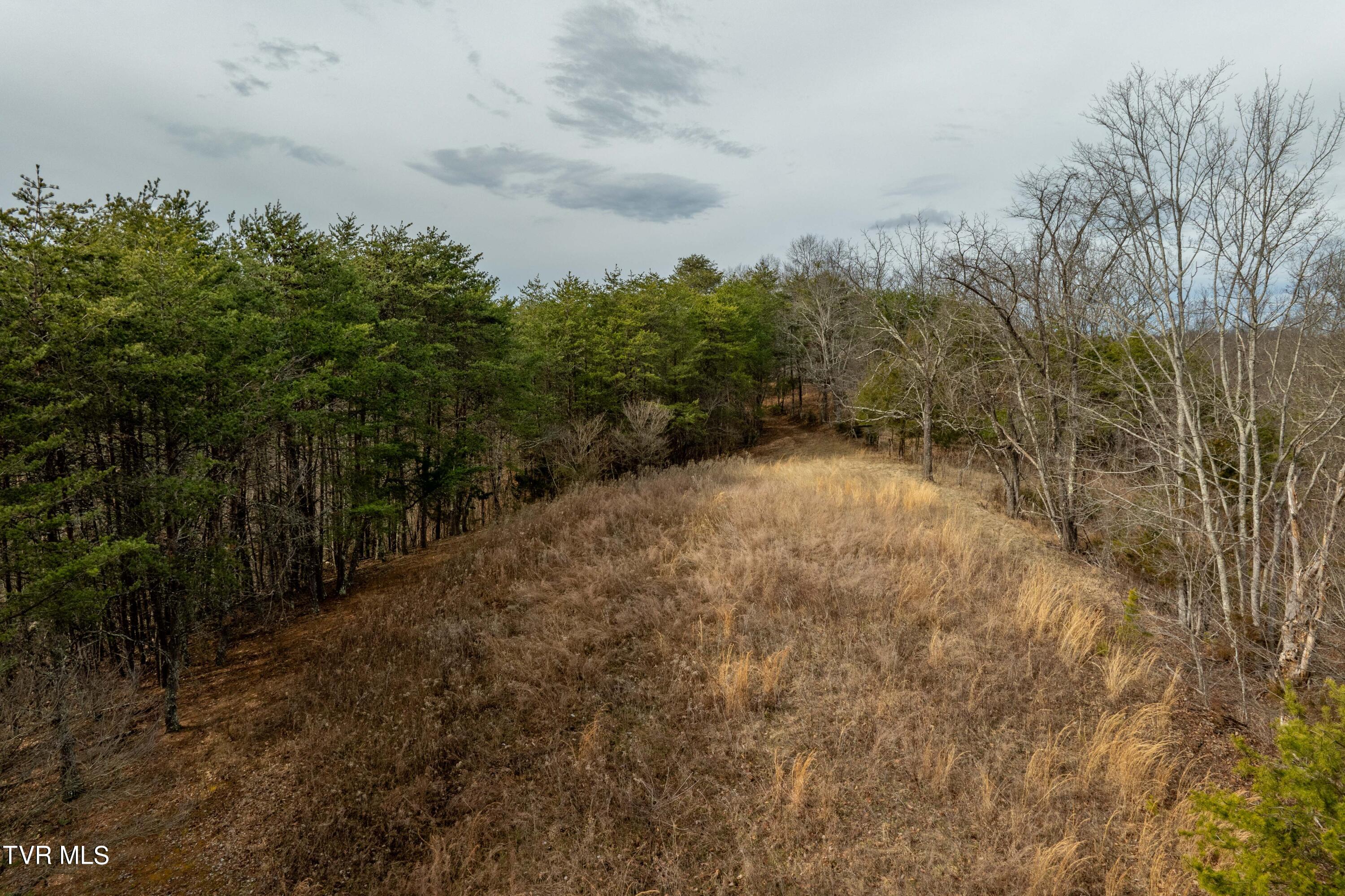 Tbd Lick Creek Road Watauga, TN 37694 - Photo 23 of 38 Lick Creek Rd (23 of 38)