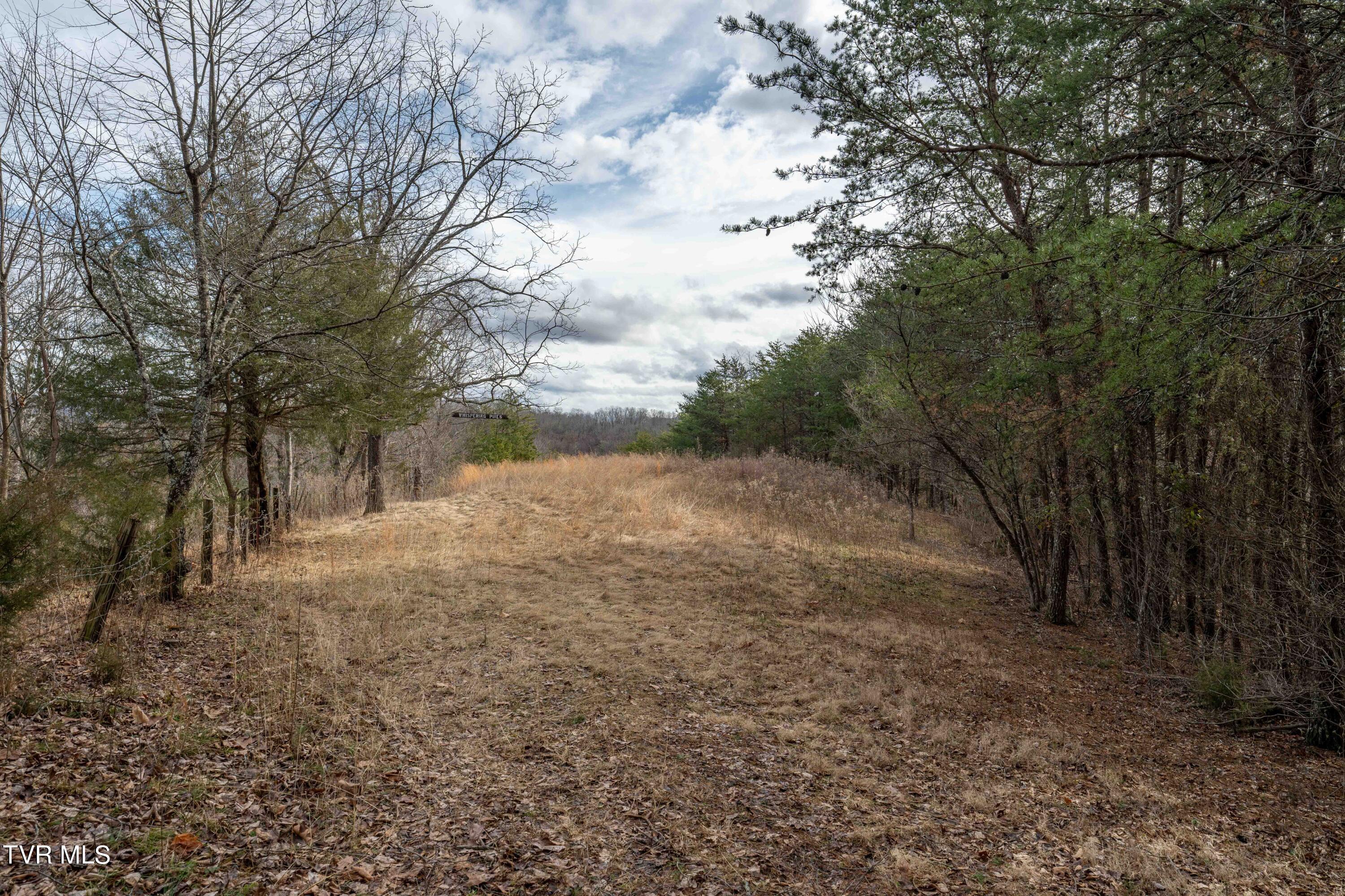 Tbd Lick Creek Road Watauga, TN 37694 - Photo 24 of 38 Lick Creek Rd (24 of 38)