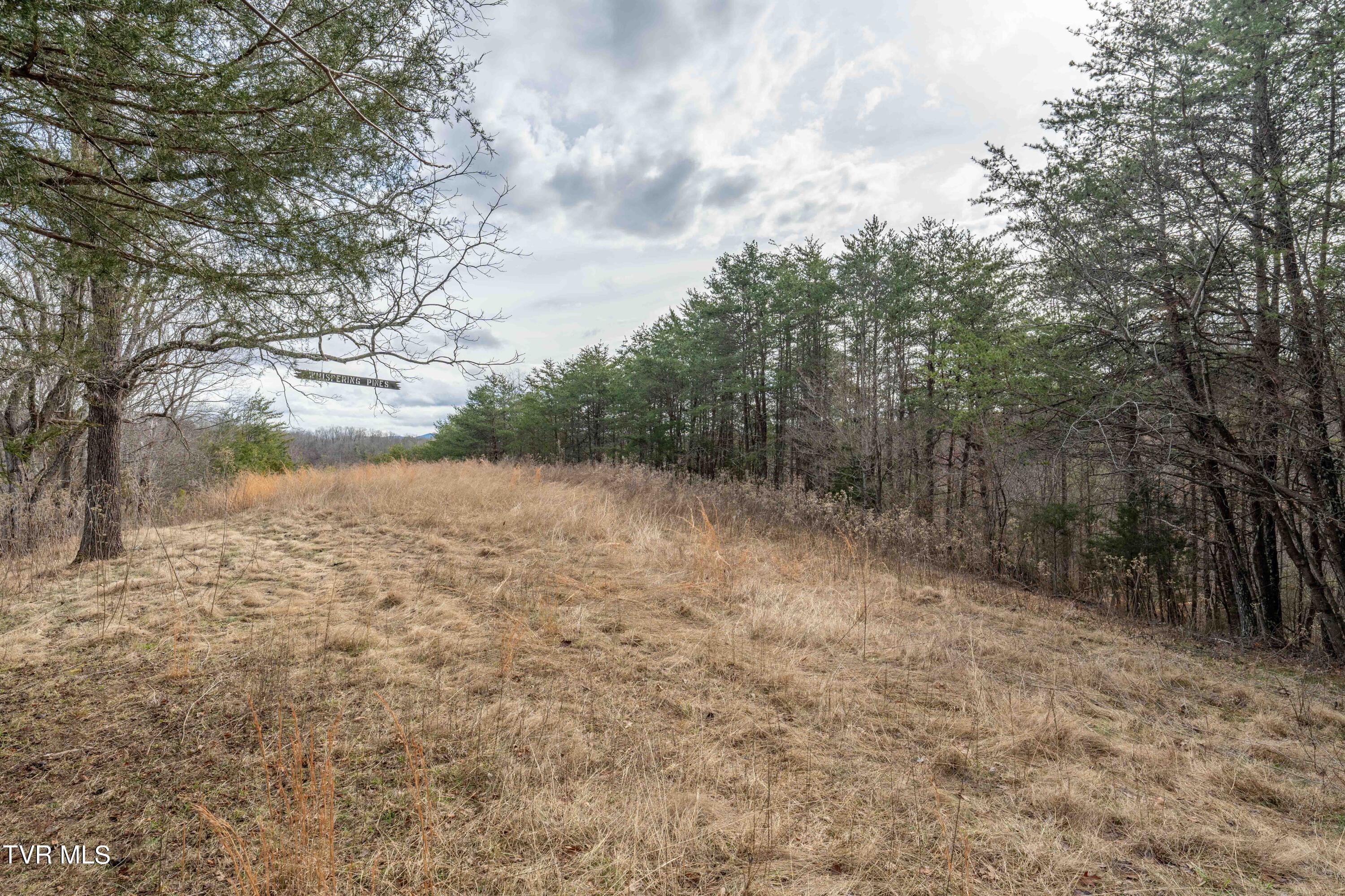 Tbd Lick Creek Road Watauga, TN 37694 - Photo 25 of 38 Lick Creek Rd (25 of 38)