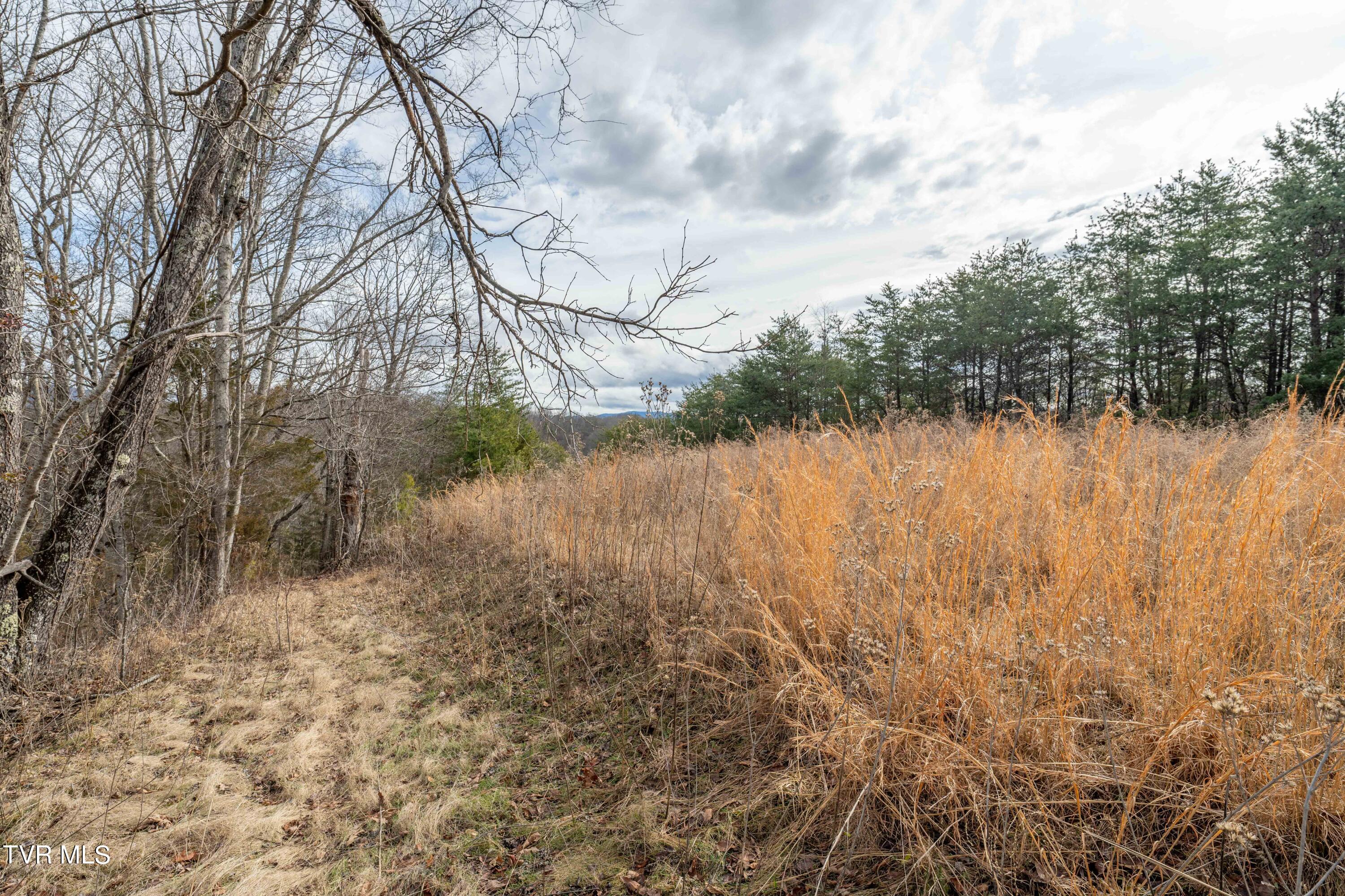 Tbd Lick Creek Road Watauga, TN 37694 - Photo 26 of 38 Lick Creek Rd (26 of 38)