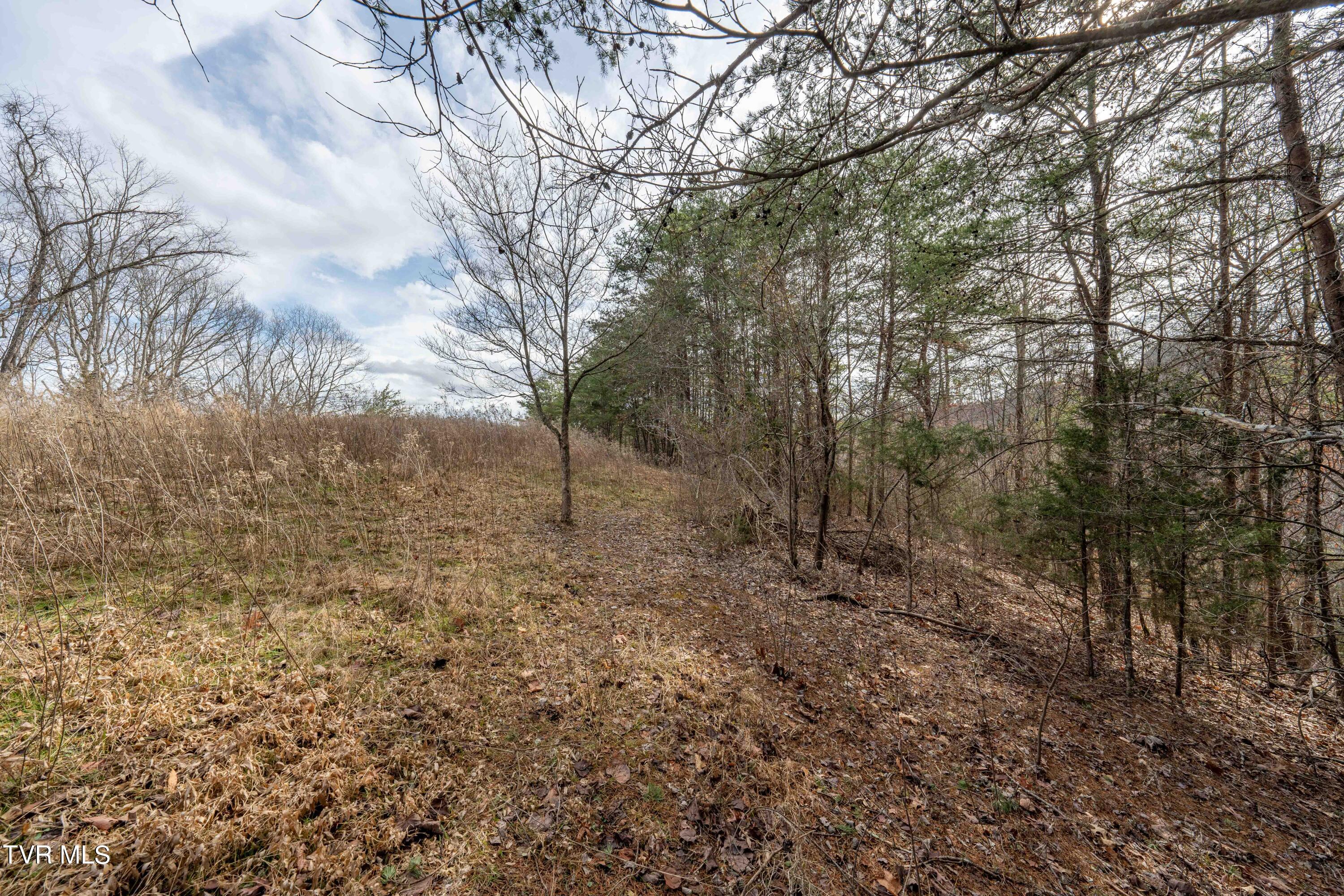 Tbd Lick Creek Road Watauga, TN 37694 - Photo 32 of 38 Lick Creek Rd (32 of 38)