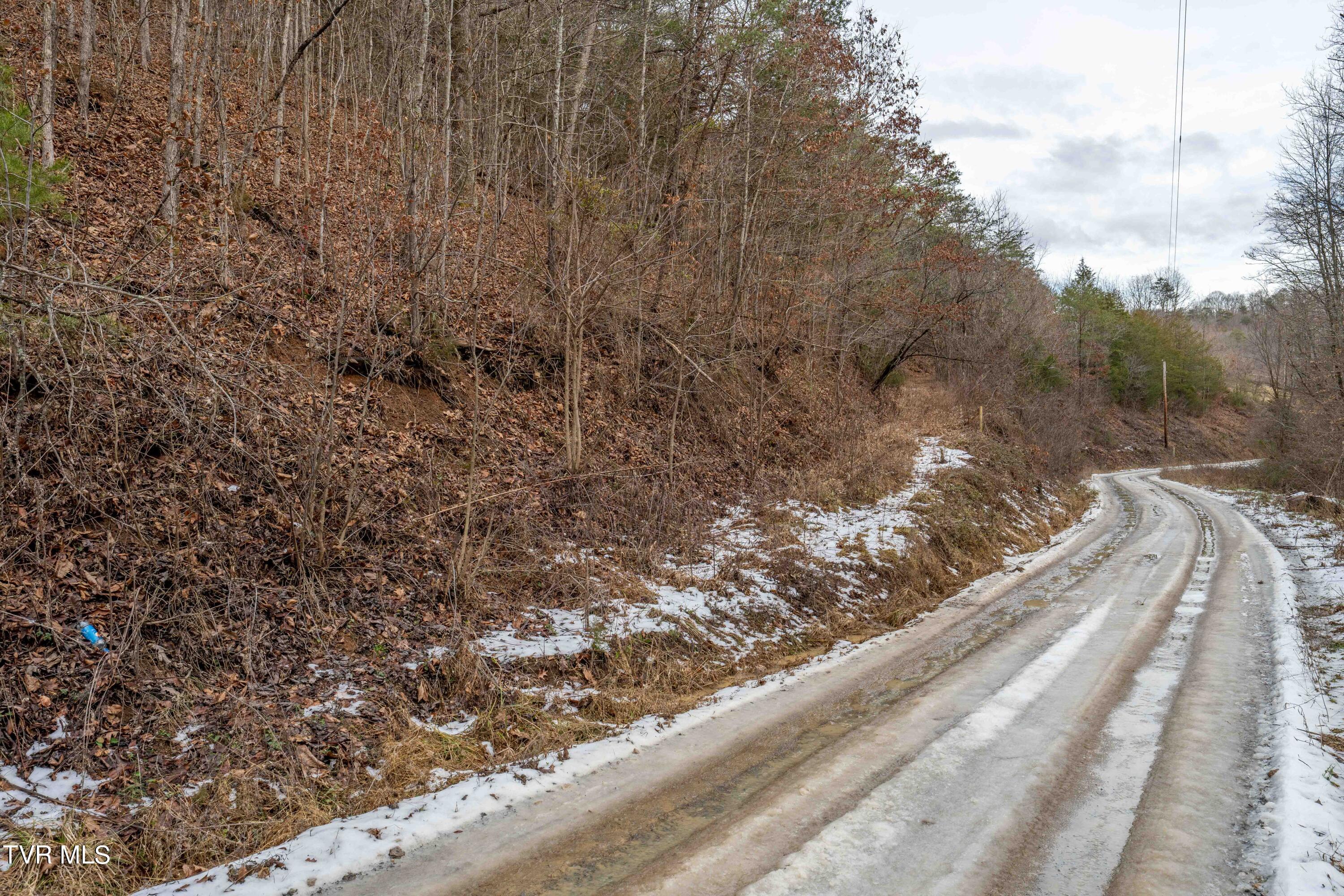 Tbd Lick Creek Road Watauga, TN 37694 - Photo 35 of 38 Lick Creek Rd (35 of 38)