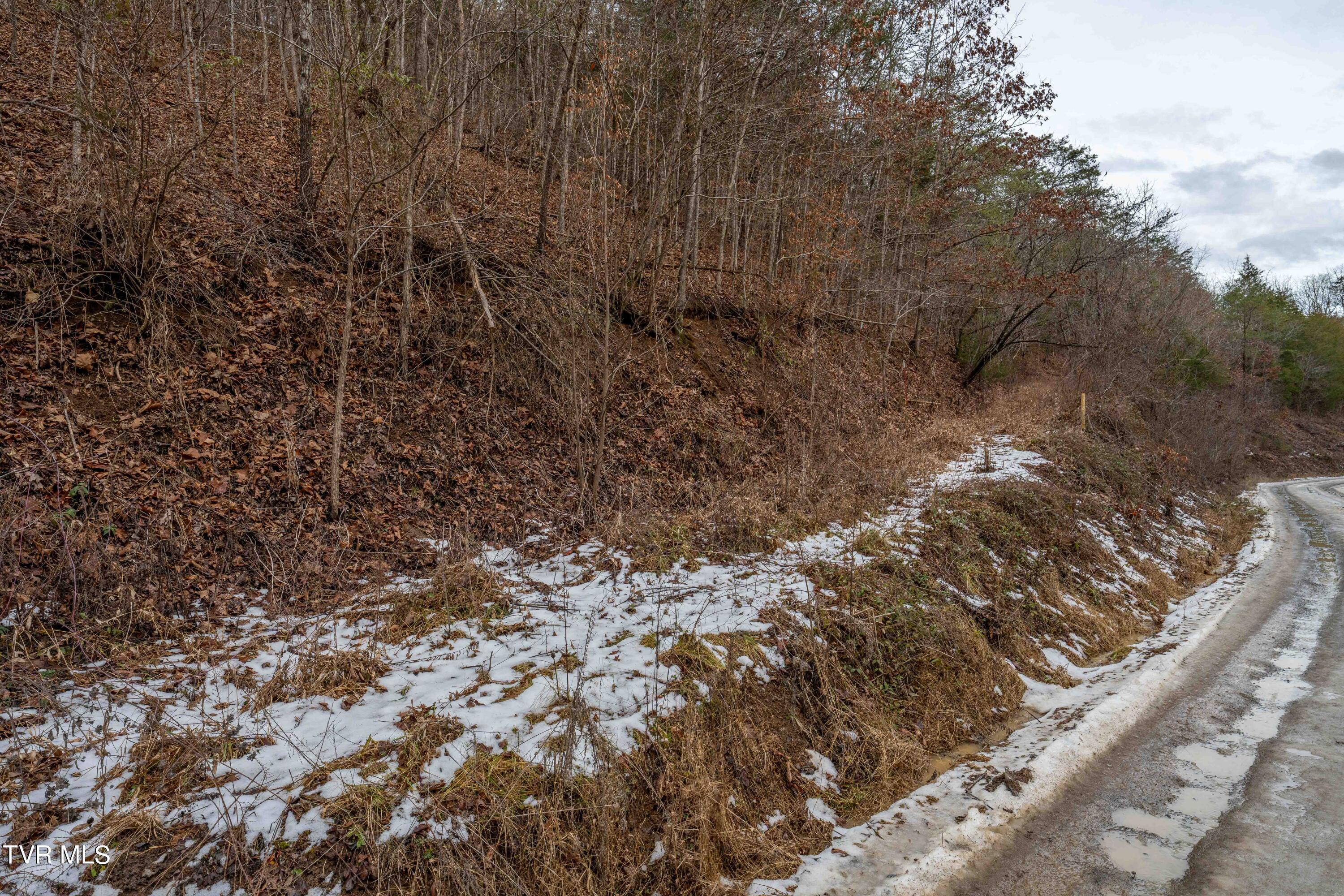 Tbd Lick Creek Road Watauga, TN 37694 - Photo 36 of 38 Lick Creek Rd (36 of 38)