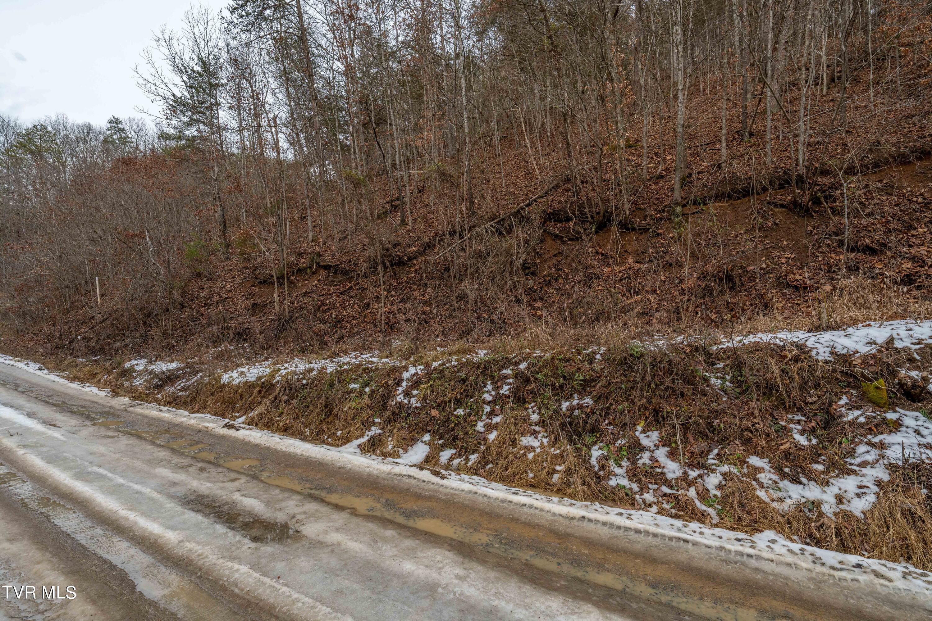 Tbd Lick Creek Road Watauga, TN 37694 - Photo 37 of 38 Lick Creek Rd (37 of 38)