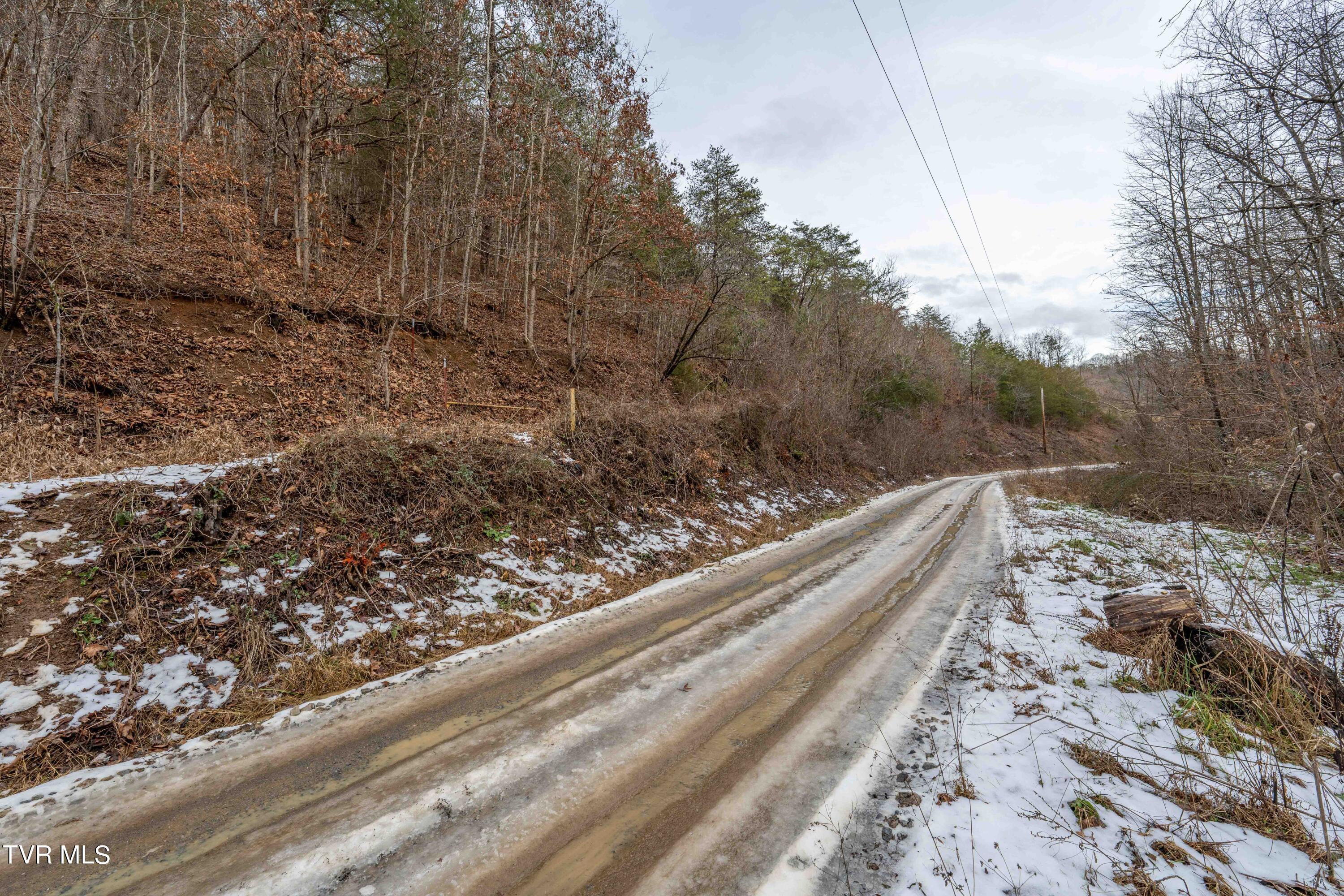 Tbd Lick Creek Road Watauga, TN 37694 - Photo 38 of 38 Lick Creek Rd (38 of 38)