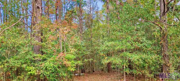 $650,000 | 36793 Cryer Road, Denham Springs, LA 70706