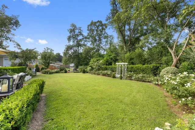 a view of a yard with a tree