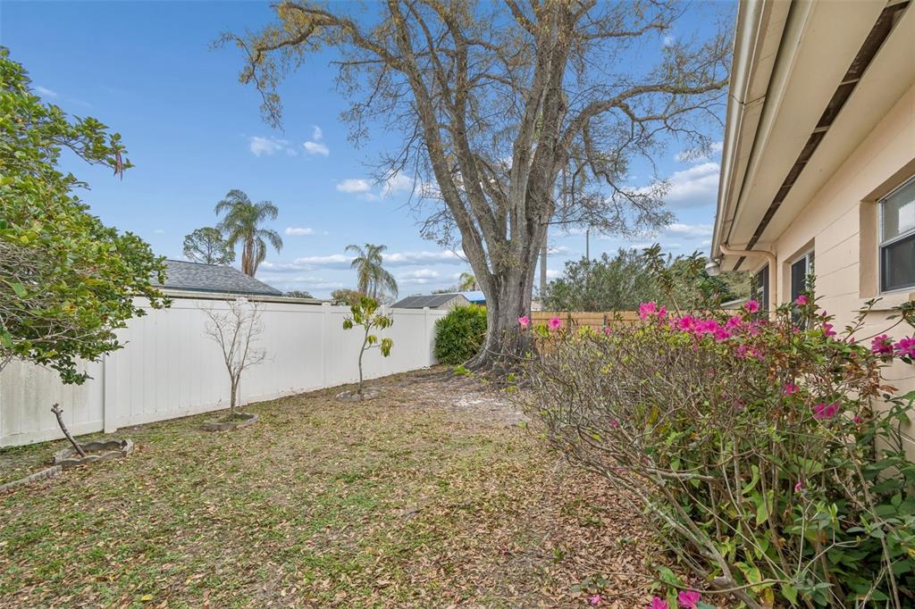 4801 Ridge Point Drive Tampa, FL 33624 - Photo 37 of 74