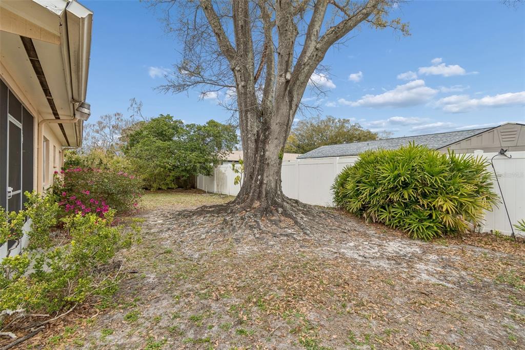 4801 Ridge Point Drive Tampa, FL 33624 - Photo 38 of 74