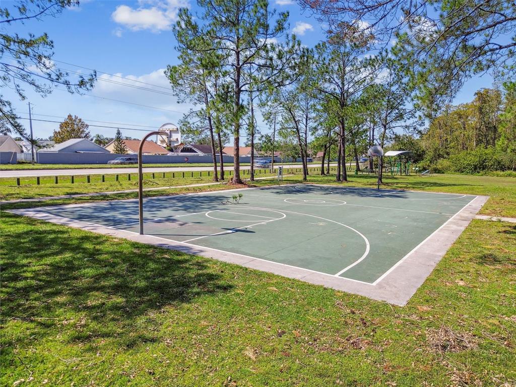 4801 Ridge Point Drive Tampa, FL 33624 - Photo 45 of 74