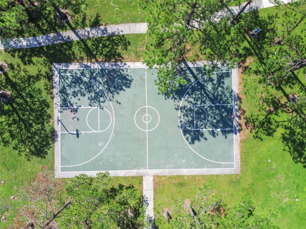 4801 Ridge Point Drive Tampa, FL 33624 - Photo 46 of 74