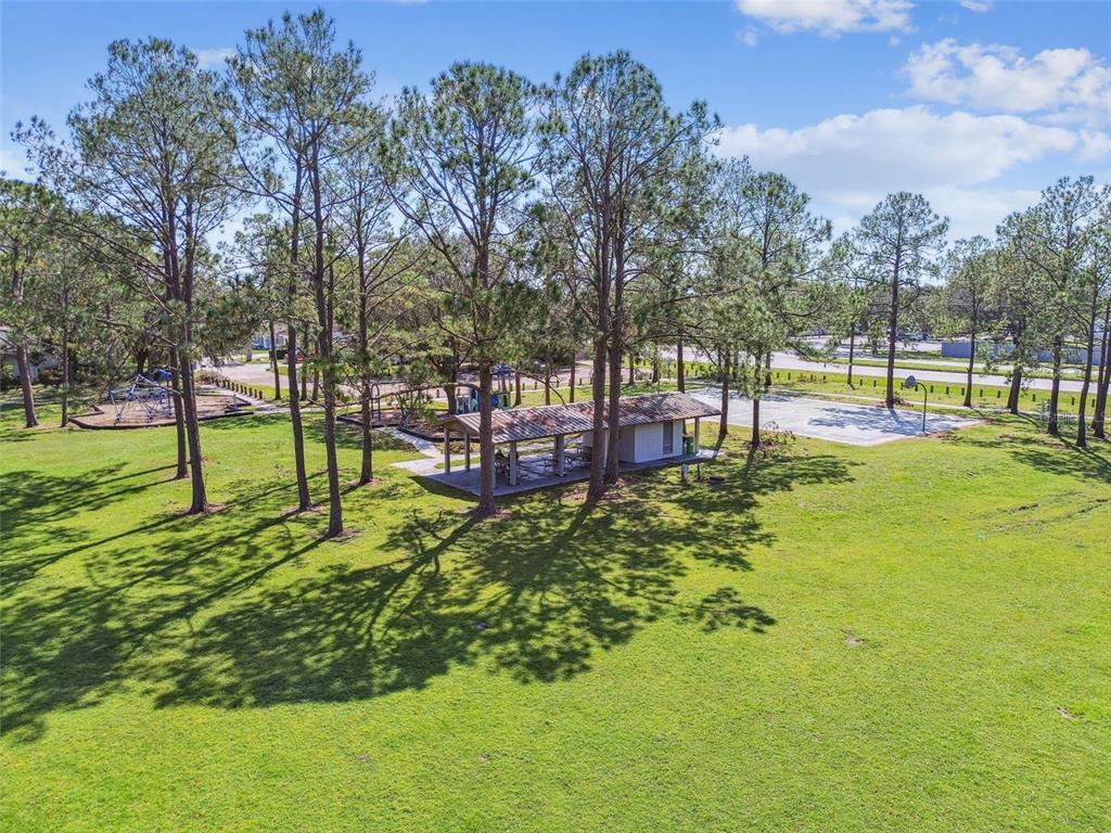 4801 Ridge Point Drive Tampa, FL 33624 - Photo 51 of 74