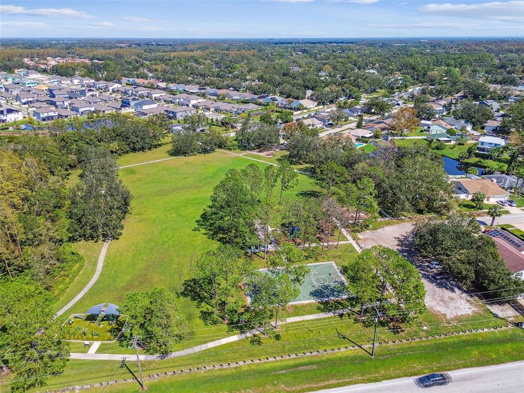 4801 Ridge Point Drive Tampa, FL 33624 - Photo 54 of 74