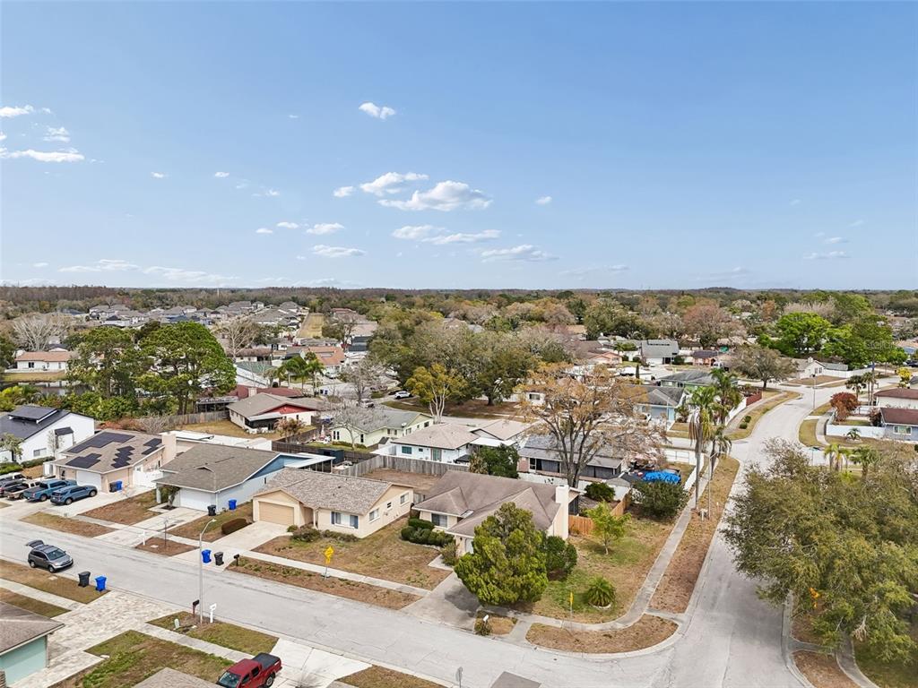 4801 Ridge Point Drive Tampa, FL 33624 - Photo 66 of 74