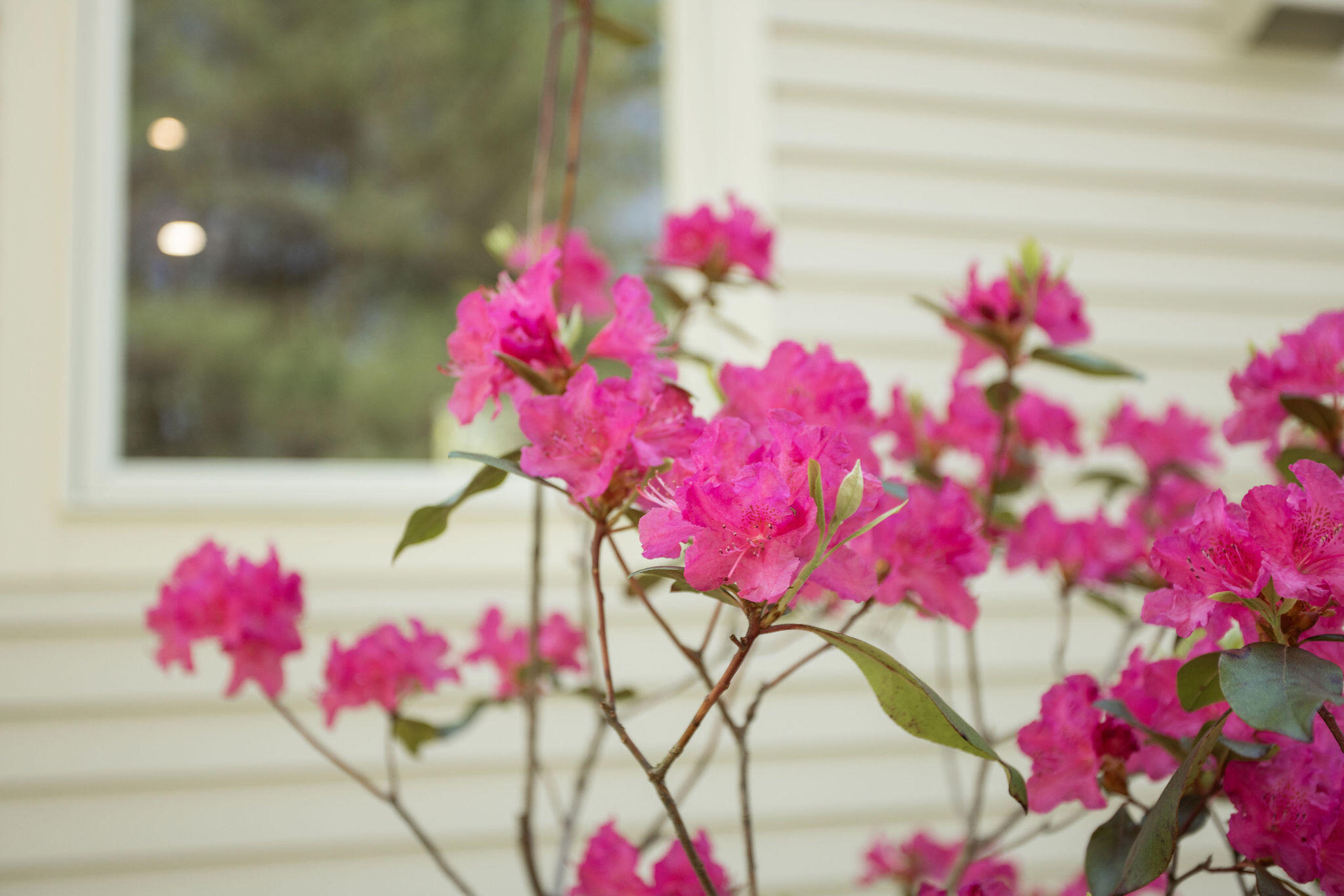 39 Pine Mountain Road York, ME 03902 - Photo 41 of 49 39 Pine Mountain Rd, Cape Neddick