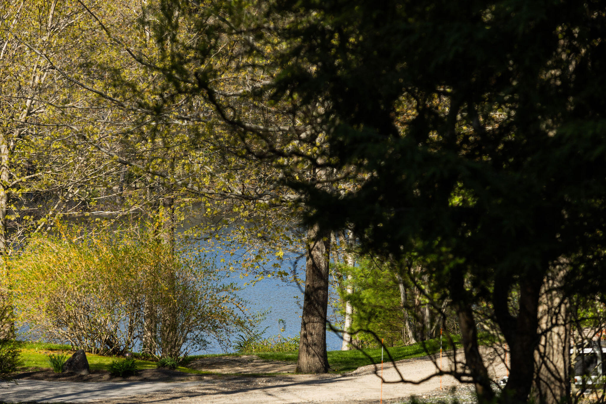 39 Pine Mountain Road York, ME 03902 - Photo 5 of 49 39 Pine Mountain Rd, Cape Neddick